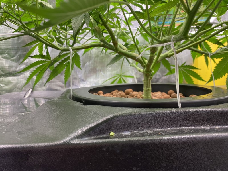 1A4505D2-936E-49A0-AFCF-22C694AB48AB