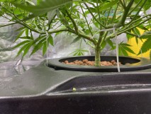 1A4505D2-936E-49A0-AFCF-22C694AB48AB