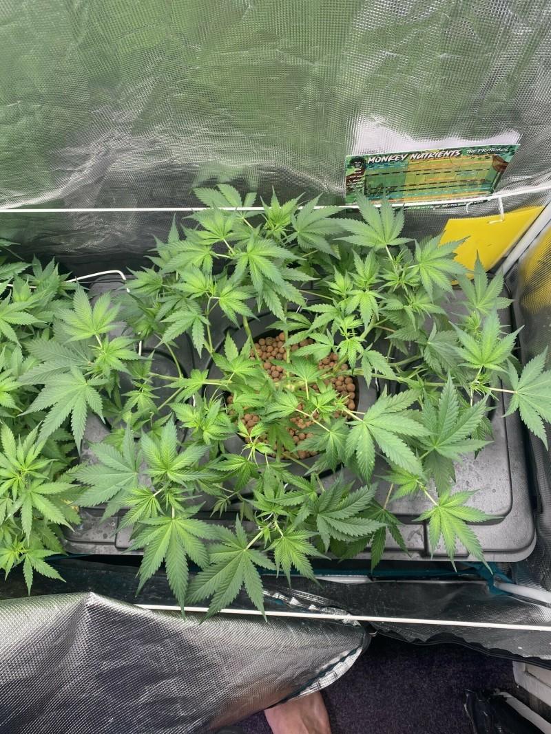 B88988A4-BFA7-4C8D-96F5-C0C0CA7929BB