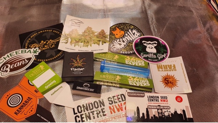 E12320B4-D794-40A1-B3F3-F891FF792D26