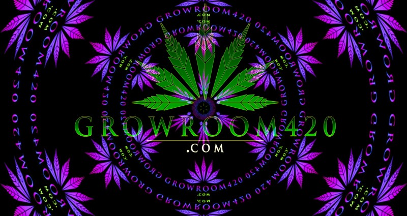 mn infin Groomroom420- green