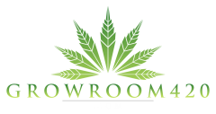 Groomroom420-_Compressed