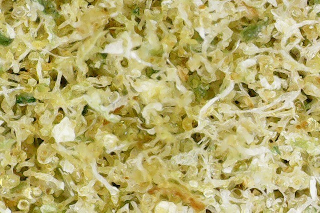 Photo on 2020-12-22 at 8.47 PM