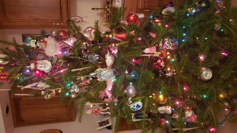 16087796453726286723844875121917