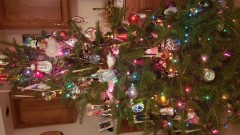 16087796453726286723844875121917