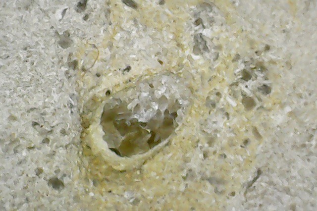 Photo on 2020-12-22 at 7.27 PM