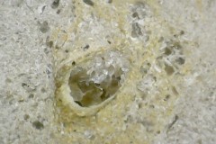 Photo on 2020-12-22 at 7.27 PM