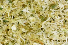 Photo on 2020-12-22 at 8.47 PM