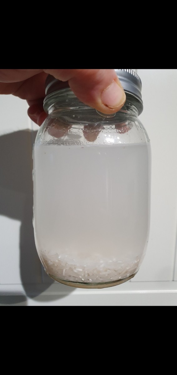 Screenshot_20201228-085226_Gallery