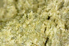 1E042DBD-97CF-4E8D-822B-496E25784C11