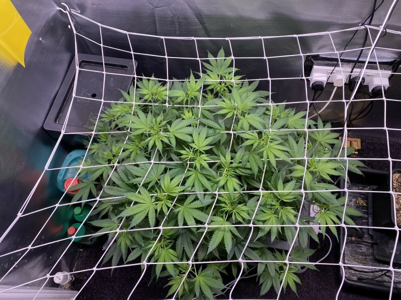 062A3996-3FC1-48BC-BA6E-80E02B542856