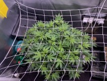 062A3996-3FC1-48BC-BA6E-80E02B542856