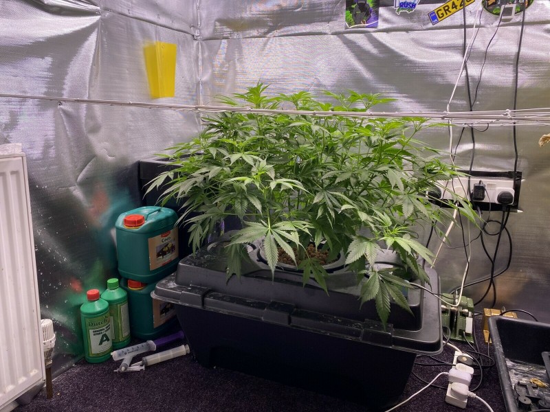 F48EBE15-F753-4868-982F-B6C05687D183