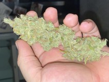 5CD898A0-7B2D-46F0-A89B-20B81C81D1C6