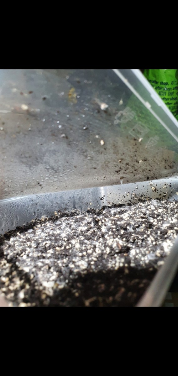 Screenshot_20201230-230358_Gallery