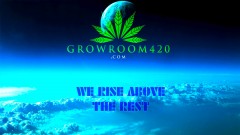 mn we rise above the rest