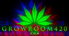 mn groowroom rgb 3