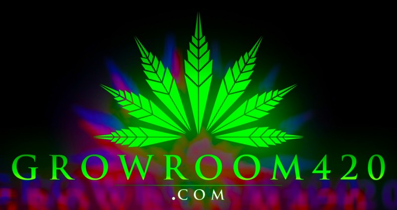 mn growroom rgb 2