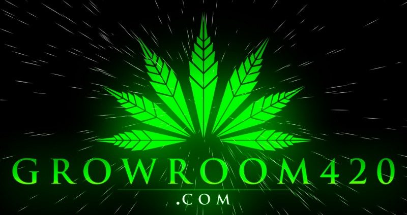 mn growroom star field