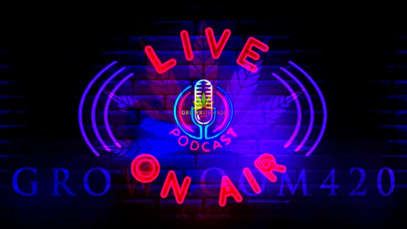 mn podcast black back 1