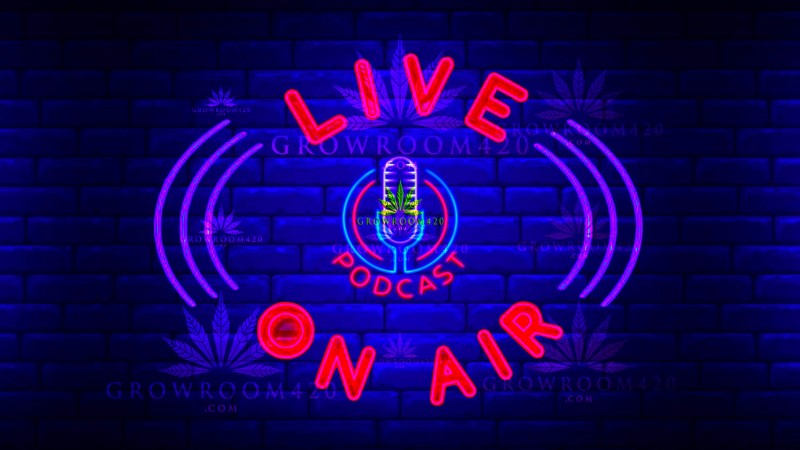 mn podcast black back 5