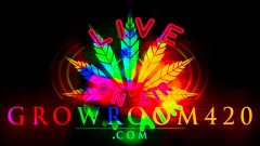 mn podcast black back 6