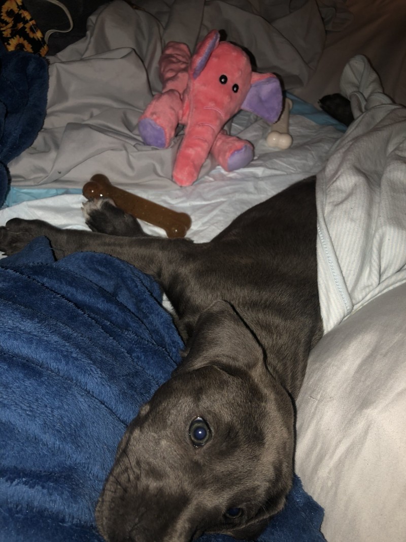 0BA7510B-ED5D-4AFA-8E00-07212880073B