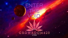 mn gr420 enter the void