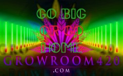 mn gr420 light go big or go home