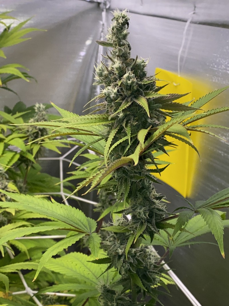 3E68EBAF-C4DF-4A81-B3F9-E2B8690E566C