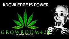 mn knowledge is power