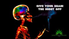 mn give your brain the night off