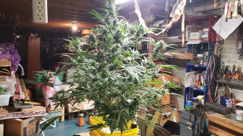 16101701660434854990408227518992