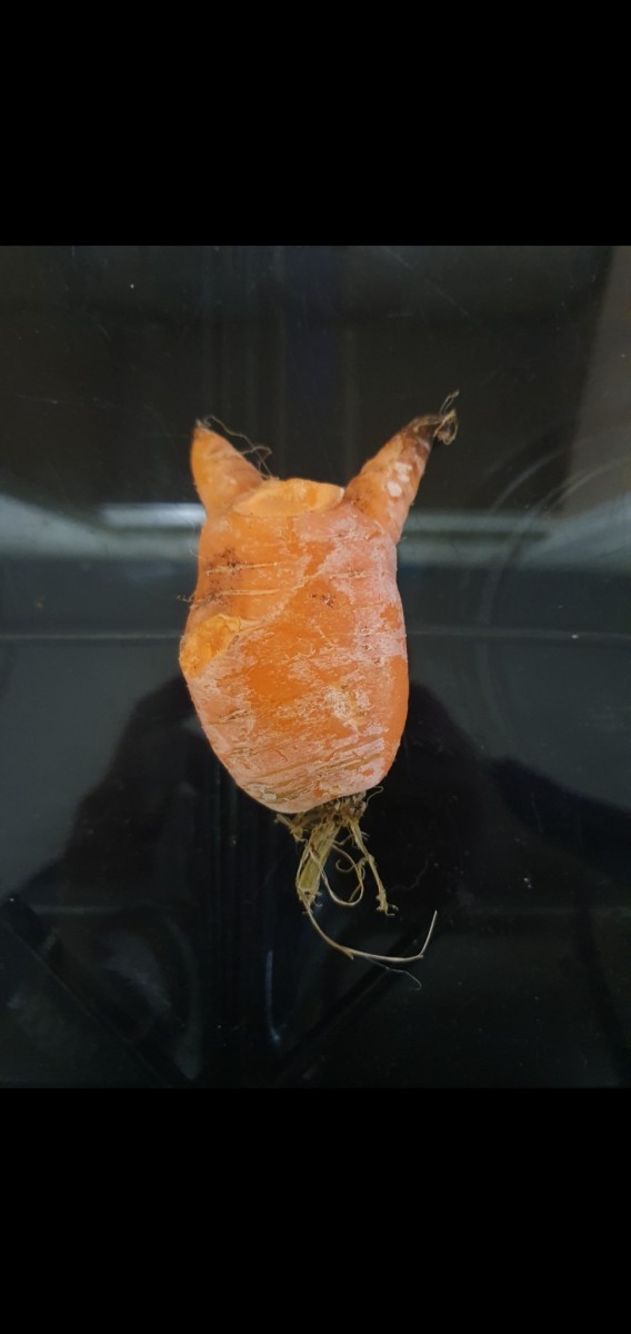 Screenshot_20210109-094104_Gallery