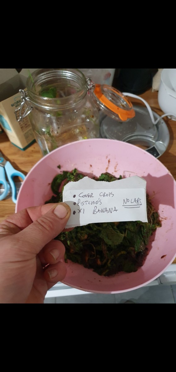 Screenshot_20210109-193137_Gallery