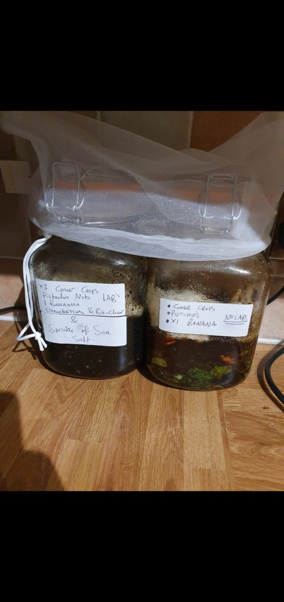 Screenshot_20210109-193221_Gallery