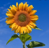 85E5A1E9-CBF9-4131-BC4D-68590D6EACCC