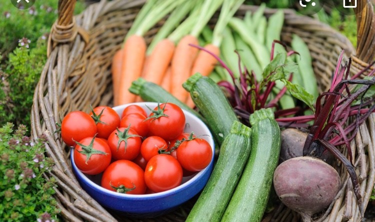 FBDE9446-02CB-451F-840E-73455F8B3DEA