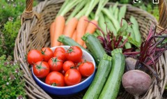 FBDE9446-02CB-451F-840E-73455F8B3DEA