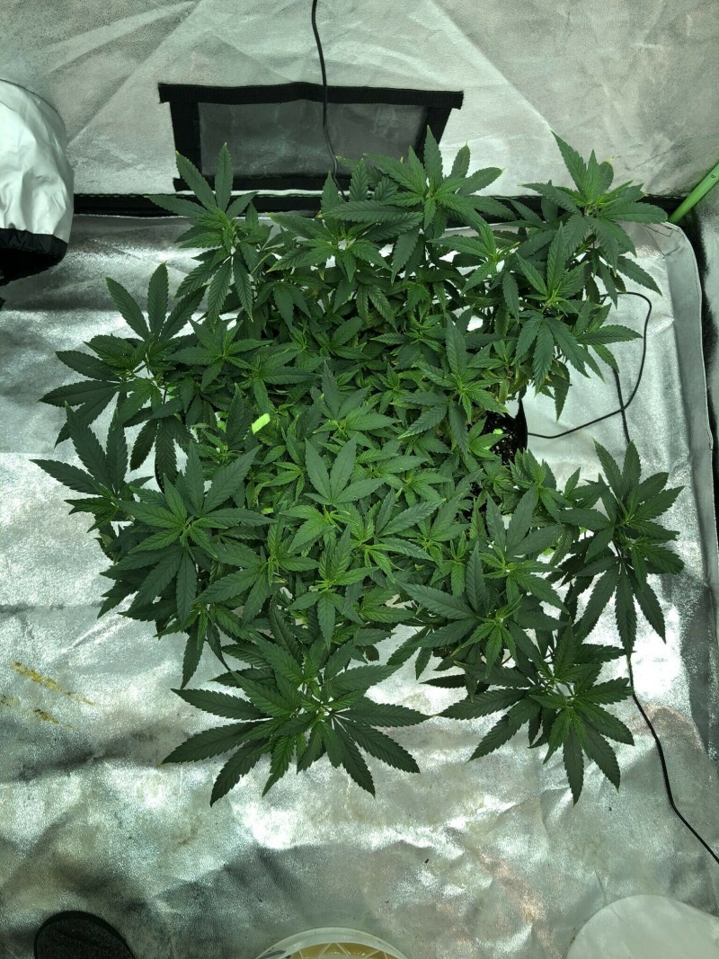 58064E5C-9F26-4F87-AC93-20FC21838B29