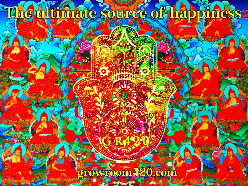 mn The ultimate source of happiness gr420