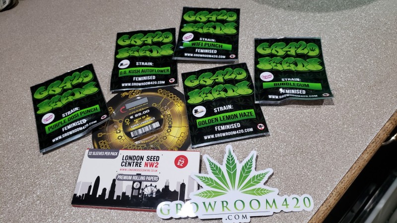 16104867373908113042551624942408