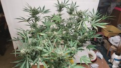 16107583573233387113374197120417