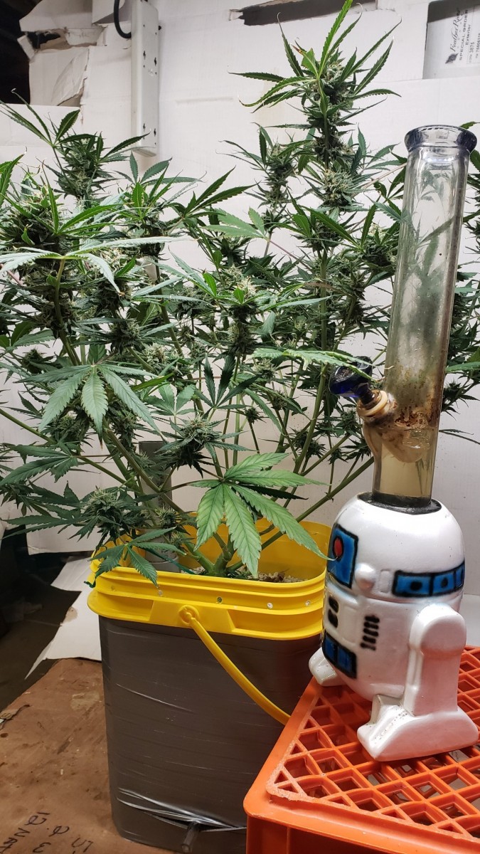 16107585066396755378274409697482