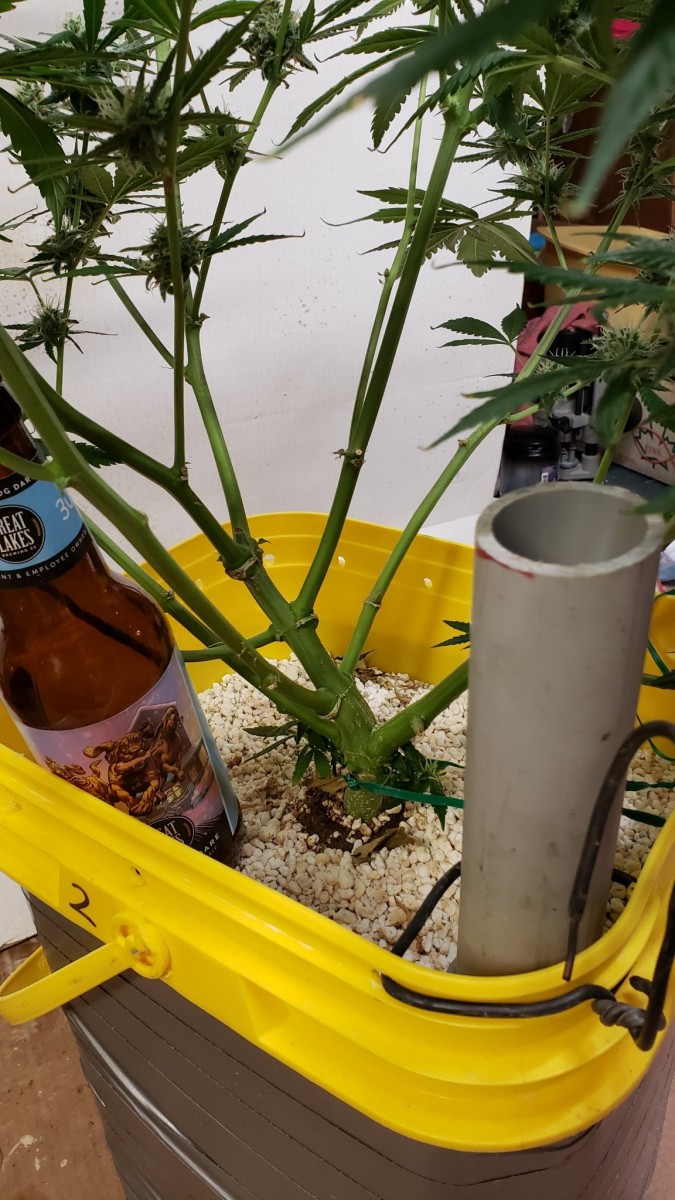 16107587099766404092812156953691