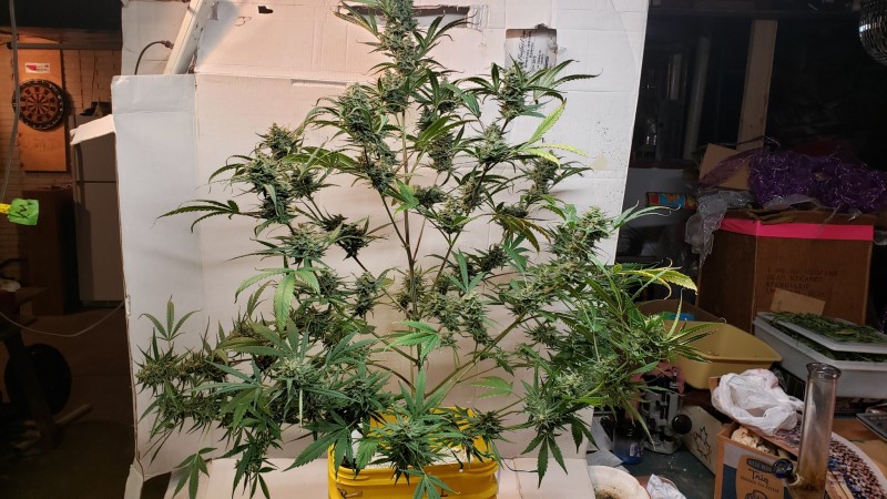 16107589896813146446828203402445