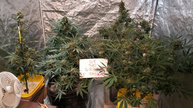 16107613561077594554835225905456