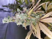 107B01F6-6BC2-4F9F-BCA9-B547035C8A9A