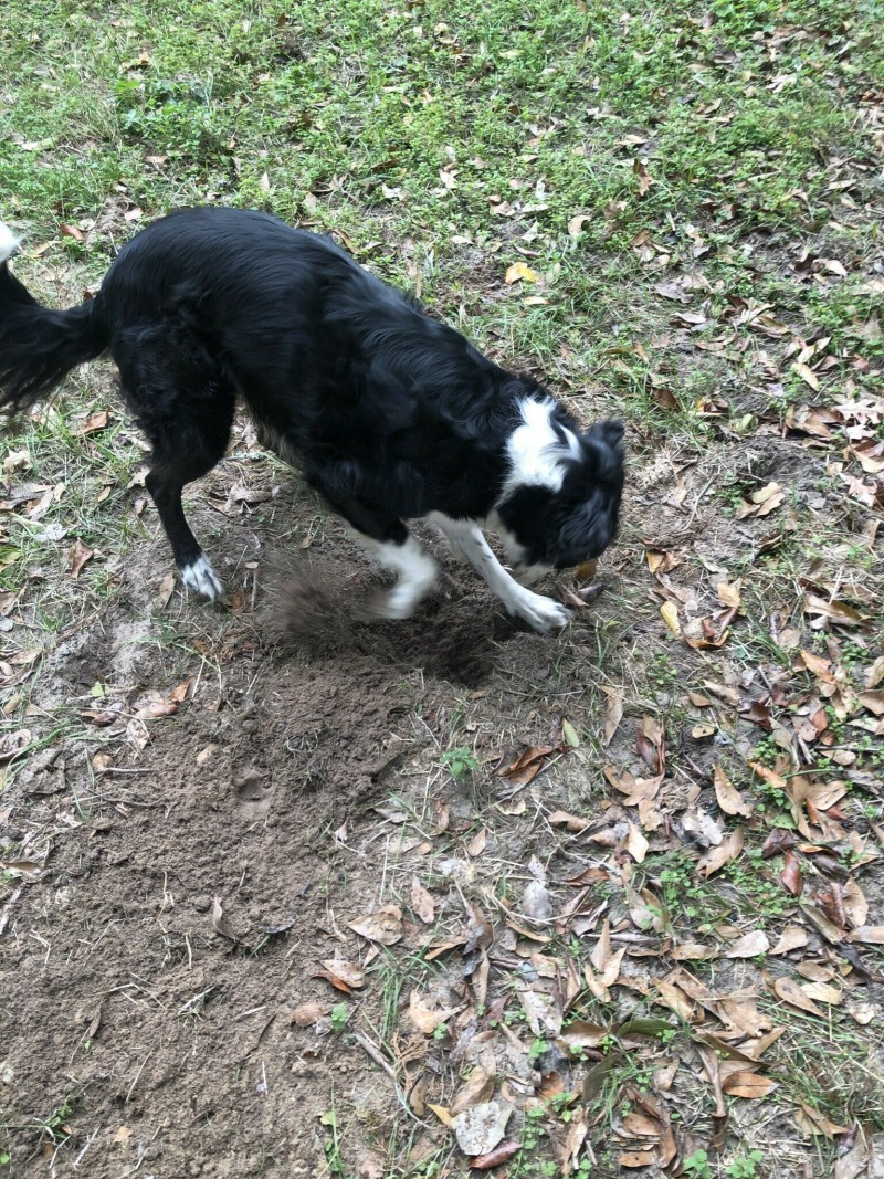 178CEA2E-2BDE-4326-A8A0-142EB4263693