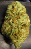 BC_Bud_Depot_-_BC_Hash_Plant_thumb